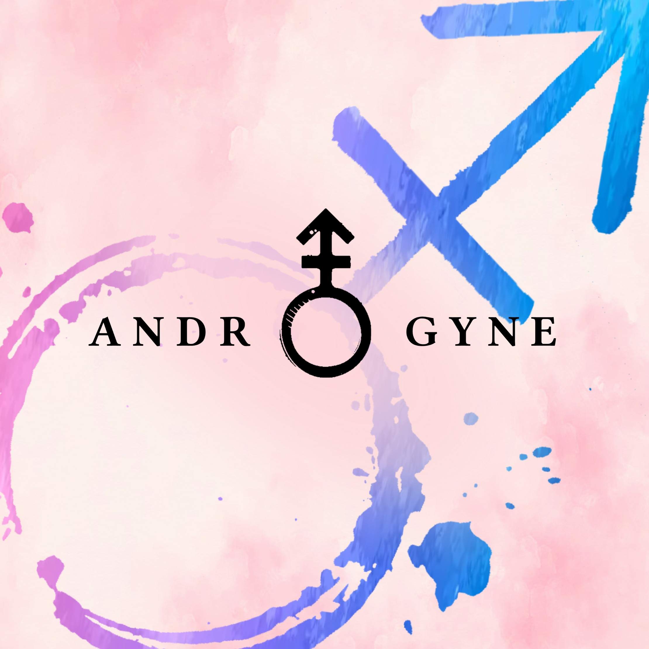 ANDR ⚨ GYNE - フライヤー表