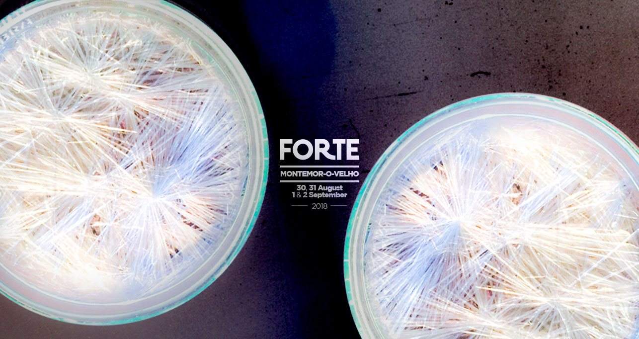 Festival Forte 2018 - Página frontal