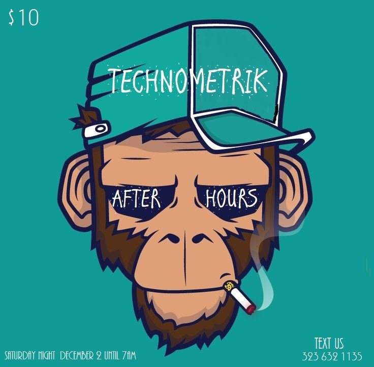 Technometrik After Hours - フライヤー表