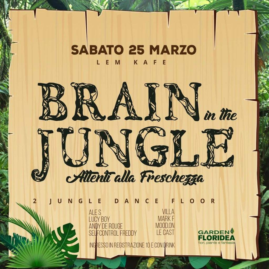 Brain in the Jungle - フライヤー表
