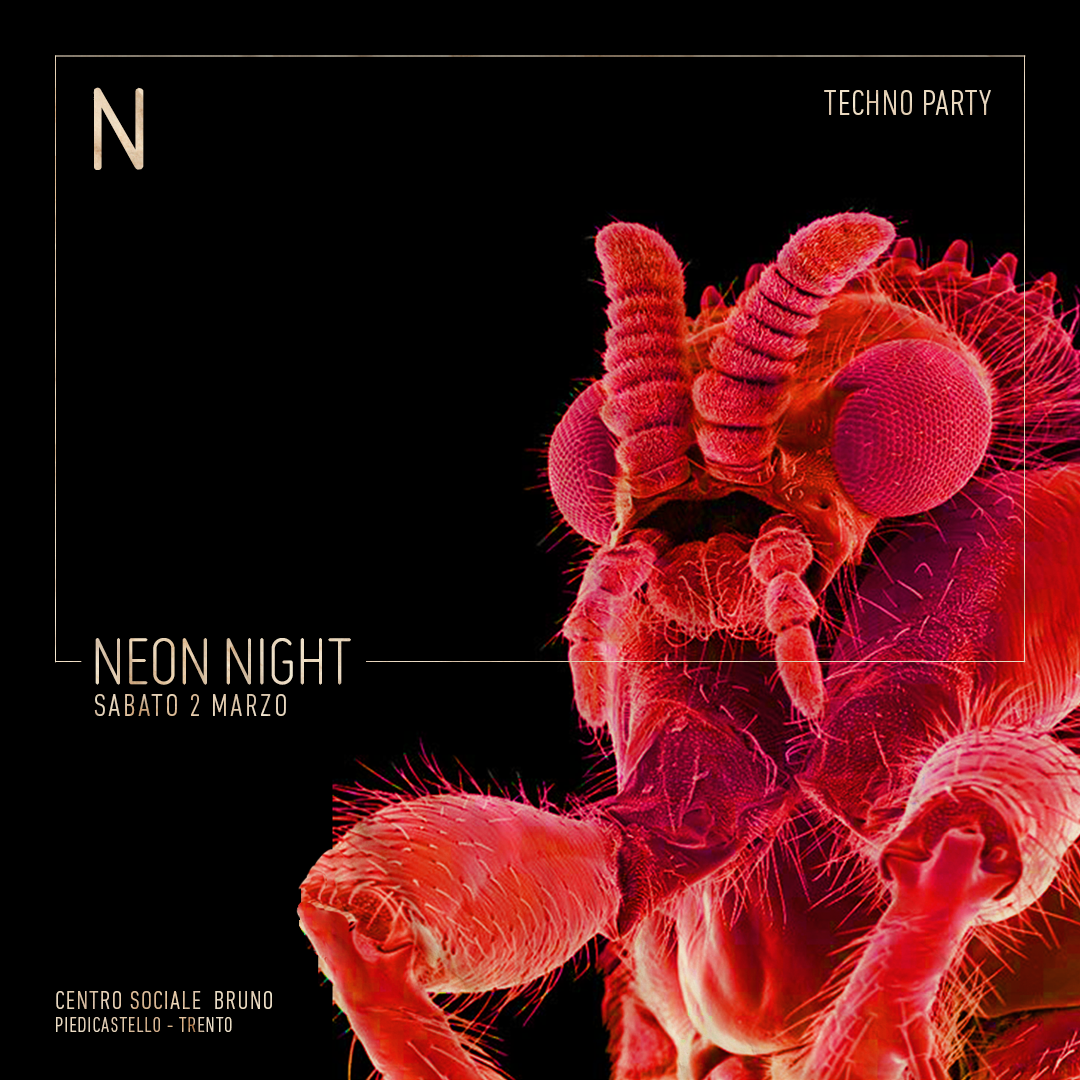 Neon Night - フライヤー表