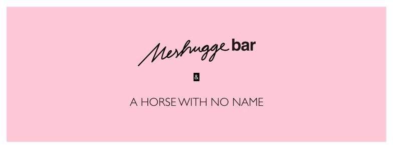 A Horse with No Name Meets Meshugge Bar - フライヤー表