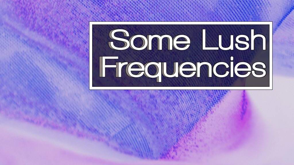 Some Lush Frequencies with Philip Budny, Stella - Página frontal