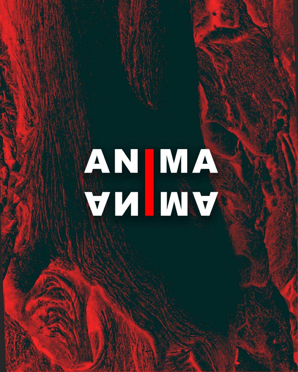 ANIMA: Chapter V - フライヤー表