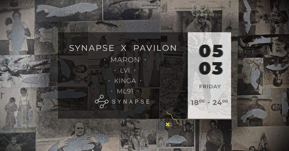 SYNAPSE X Pavilon - Página frontal