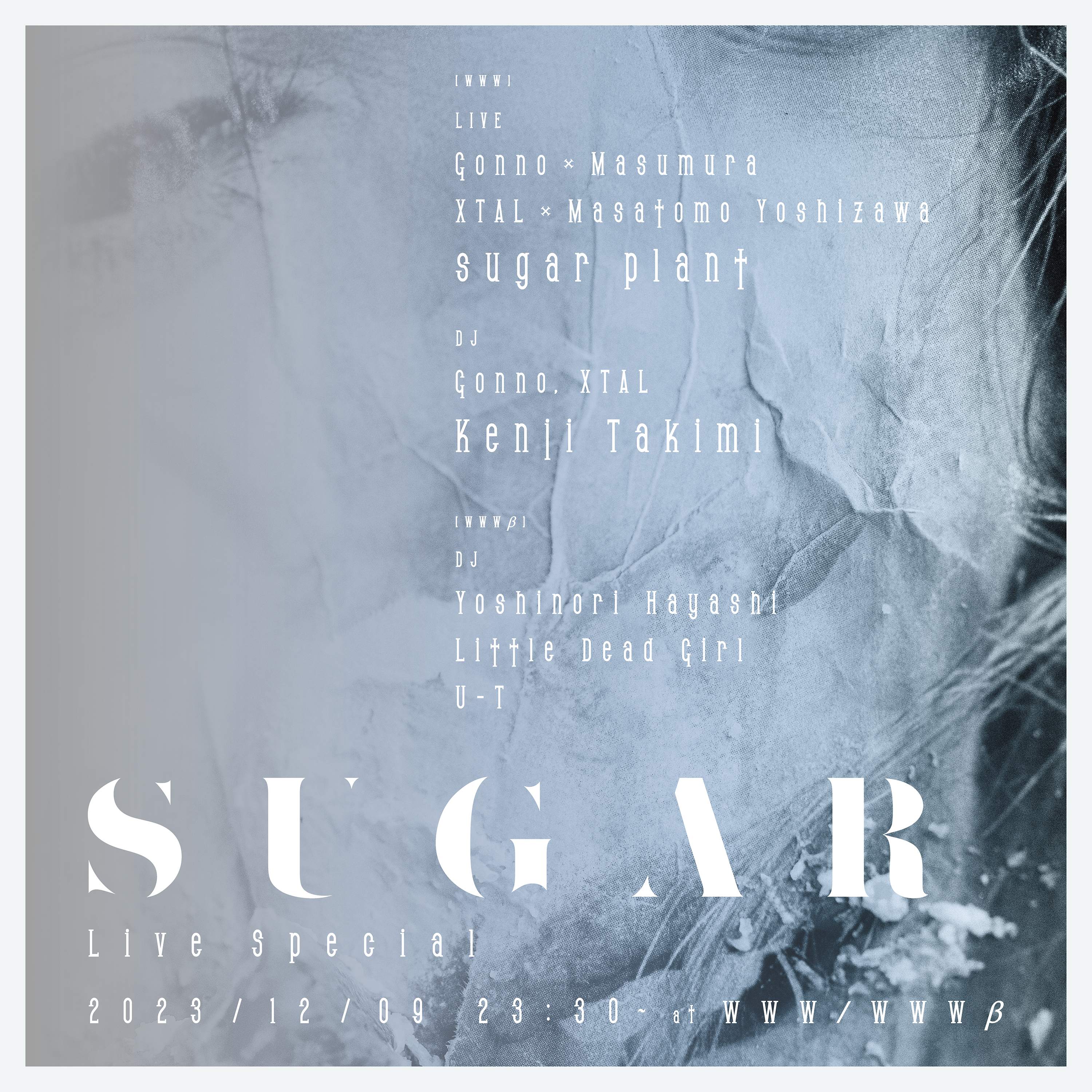 Sugar 'Live Special' - Página trasera