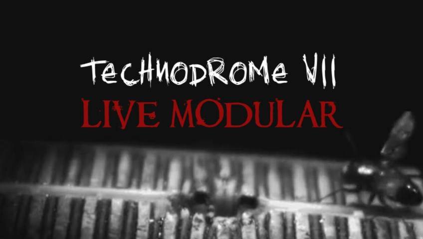 Technodrome VII: Live Modular in Basement - フライヤー表
