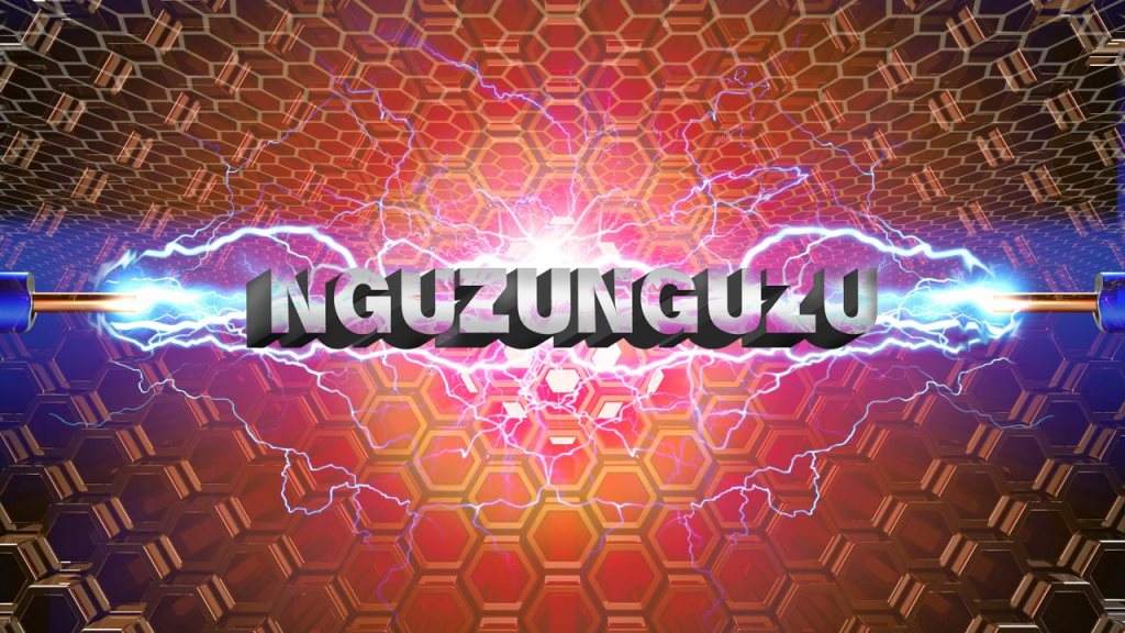 H / A \ M presents Nguzunguzu - Página frontal