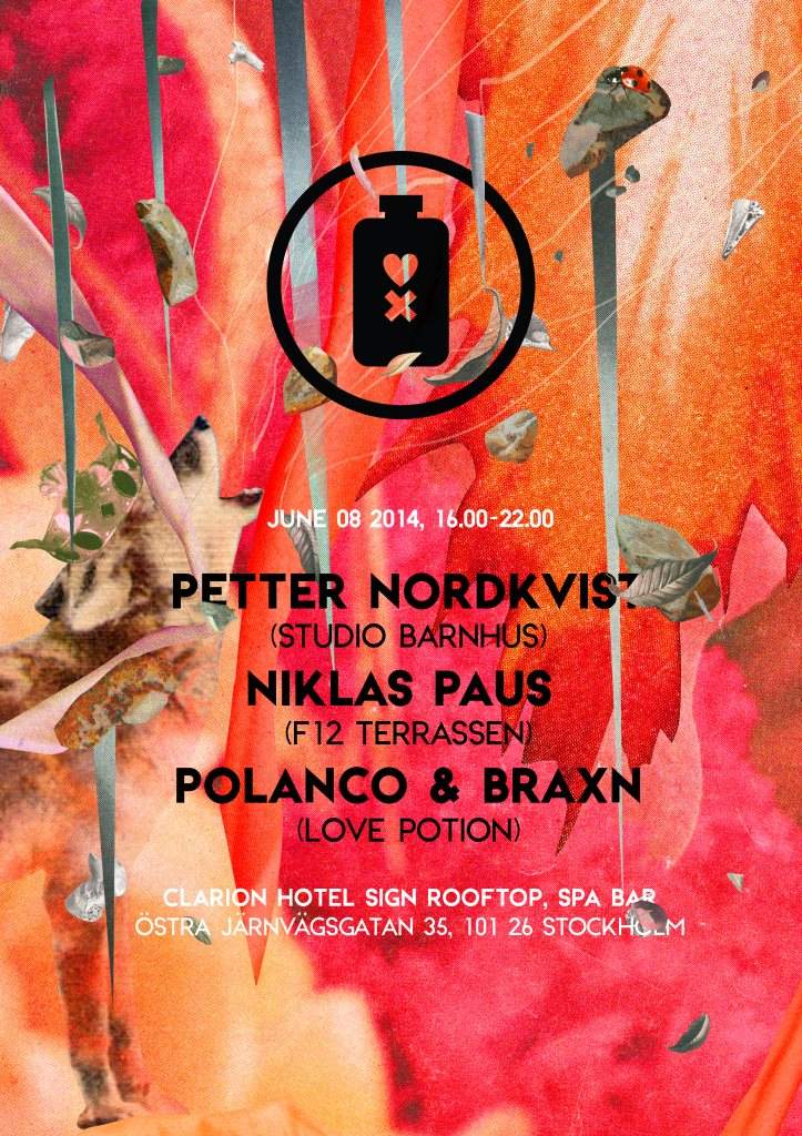 Love Potion: Petter Nordkvist, Niklas Paus, Polanco & Braxn - Página frontal