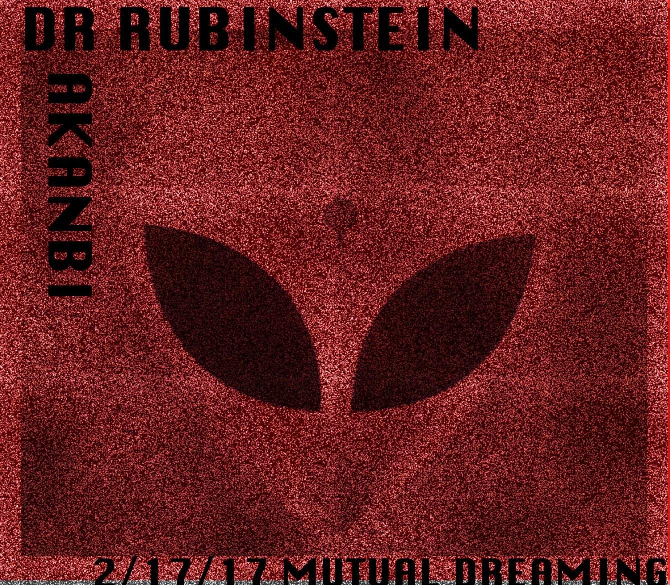 Mutual Dreaming: Dr Rubinstein + Akanbi - Página frontal