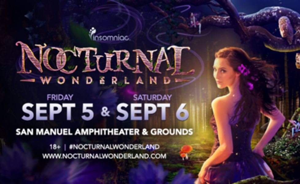 Nocturnal Wonderland