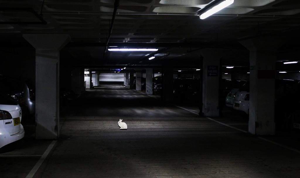 White Rabbit - The Multi-Storey Car Park - フライヤー表