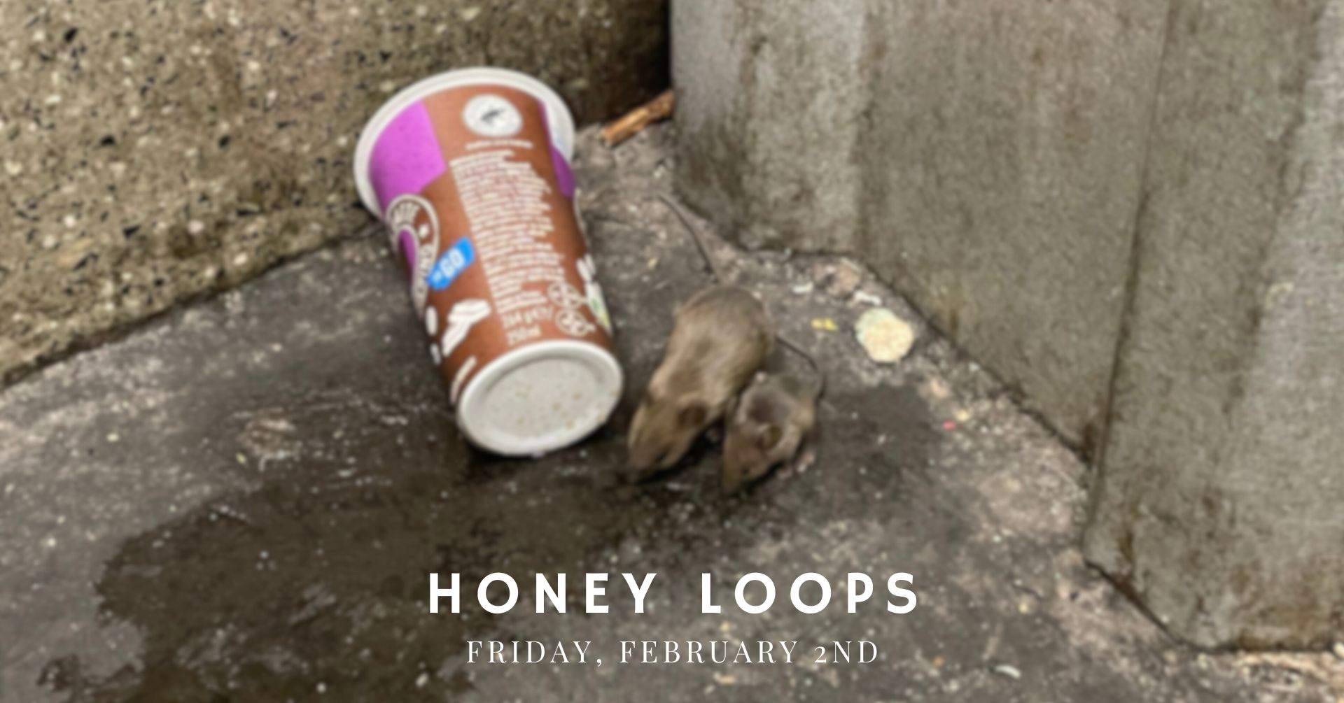 Honey Loops - フライヤー表
