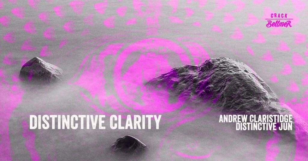 Distinctive Clarity - フライヤー表