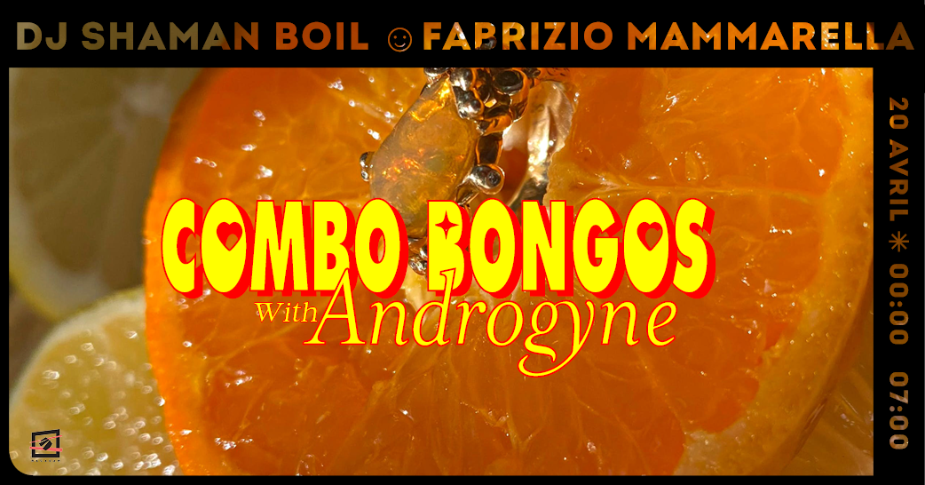 Androgyne x Combo Bongos • Fabrizio Mammarella ~ DJ Shaman Boil - フライヤー表