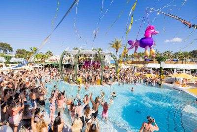 Spring Festival 2026: Family Day