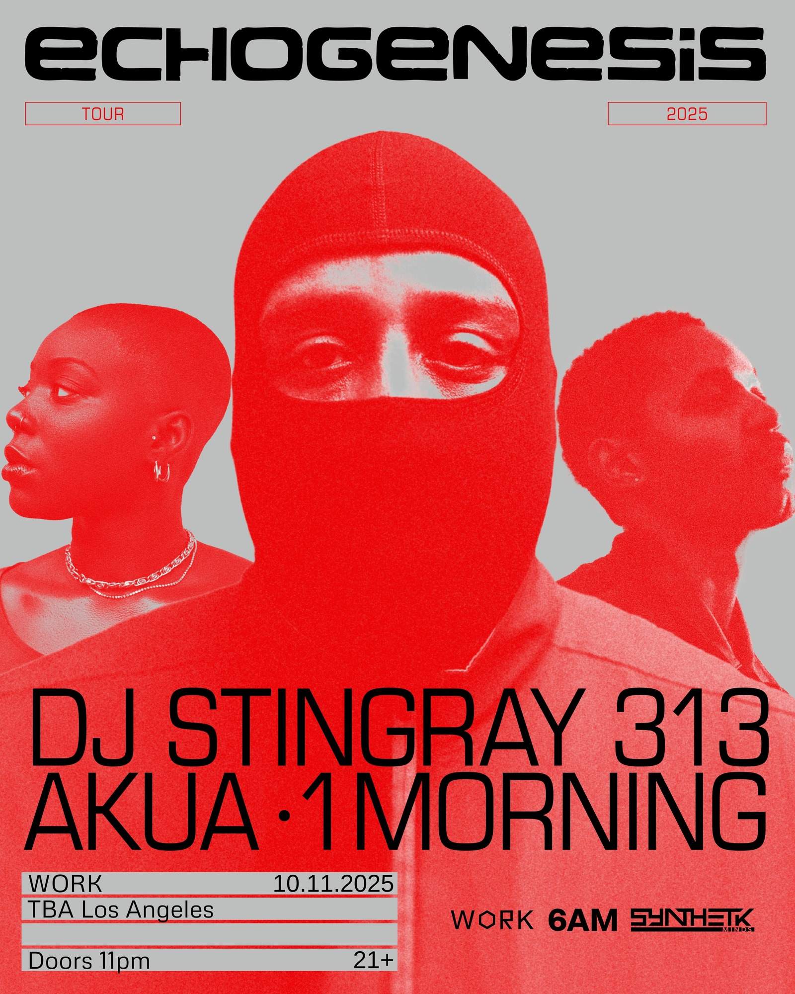 WORK presents Echogenesis Tour: DJ Stingray 313, Akua, & 1morning