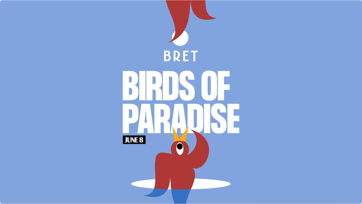Birds of Paradise - Página frontal