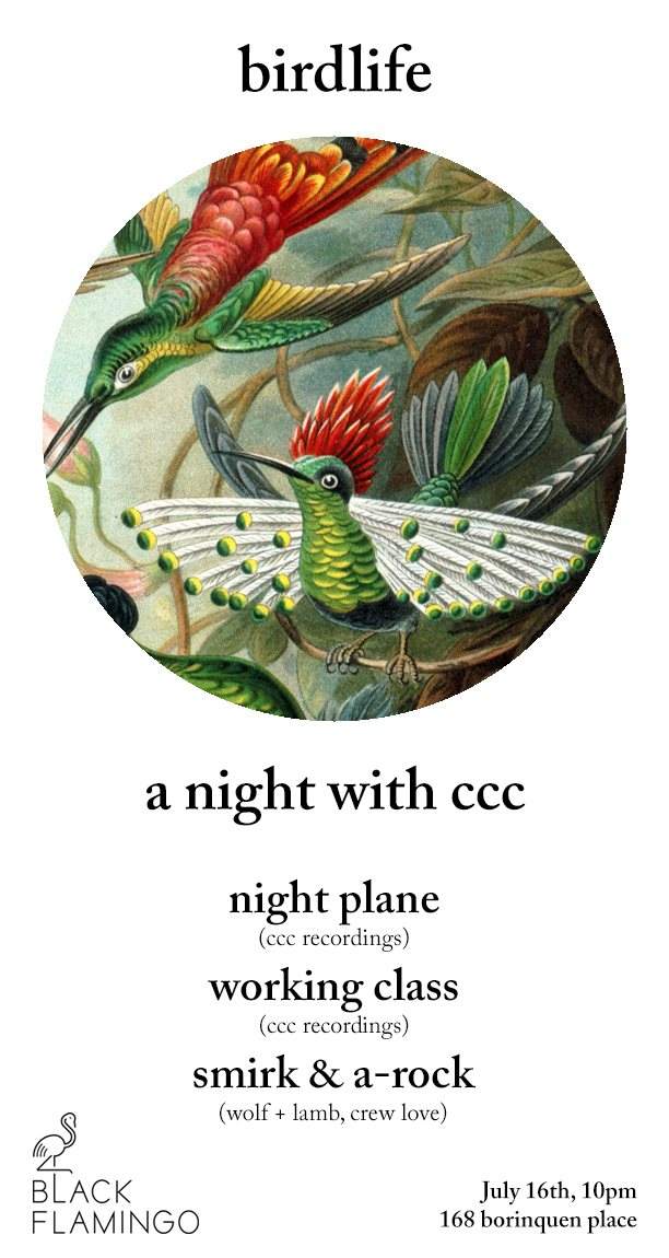 Birdlife: A Night with CCC Recordings - フライヤー表