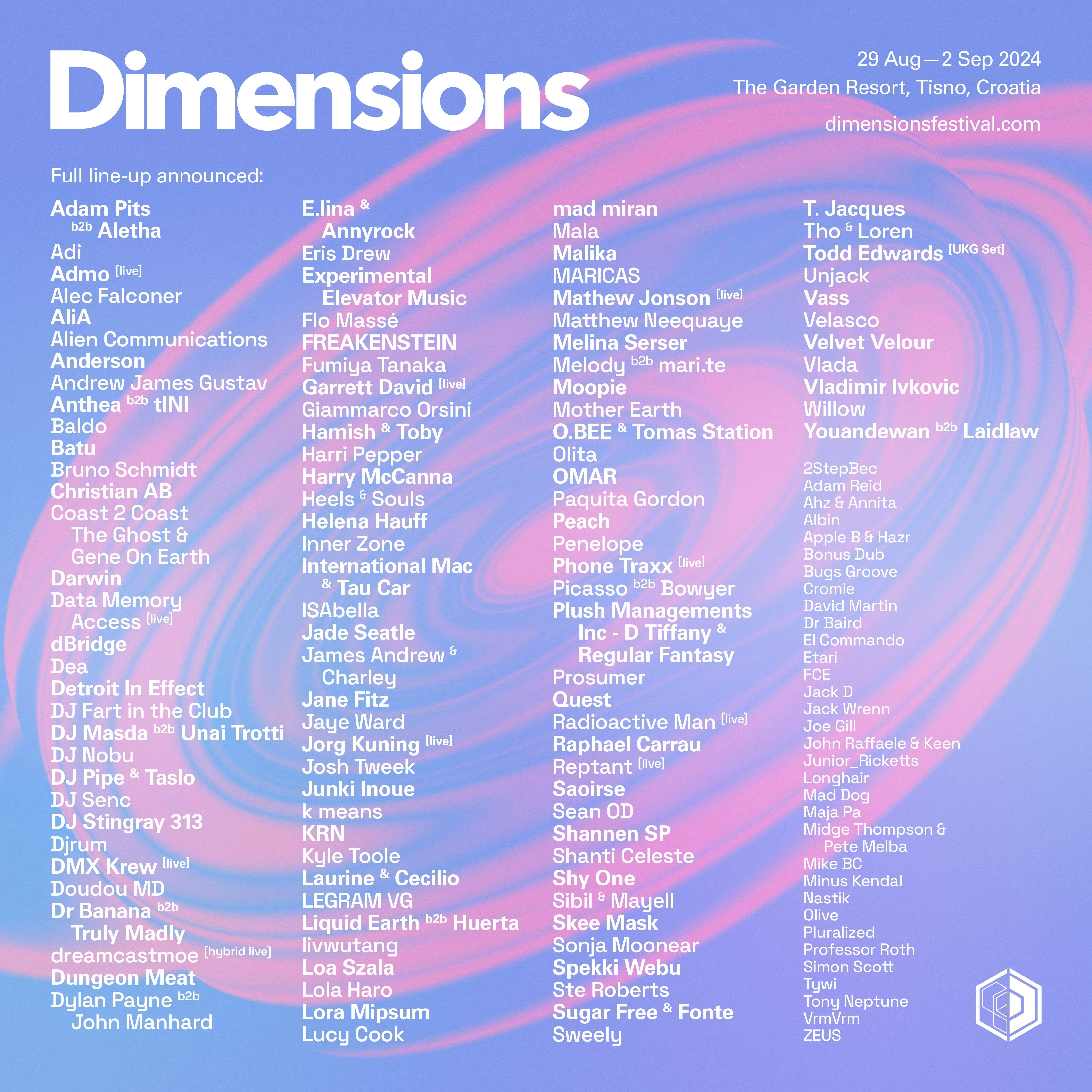 Dimensions Festival 2024 - フライヤー表