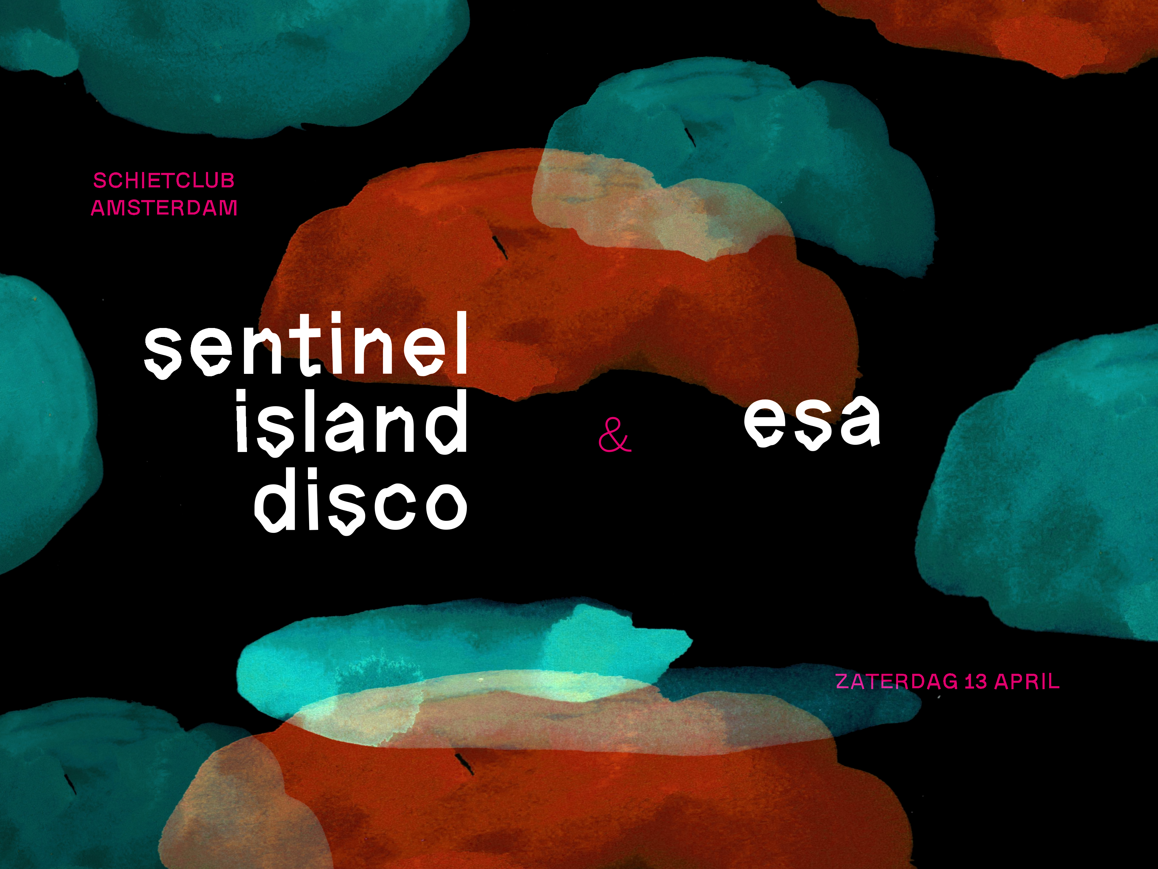 Sentinel Island Disco with Esa - フライヤー表