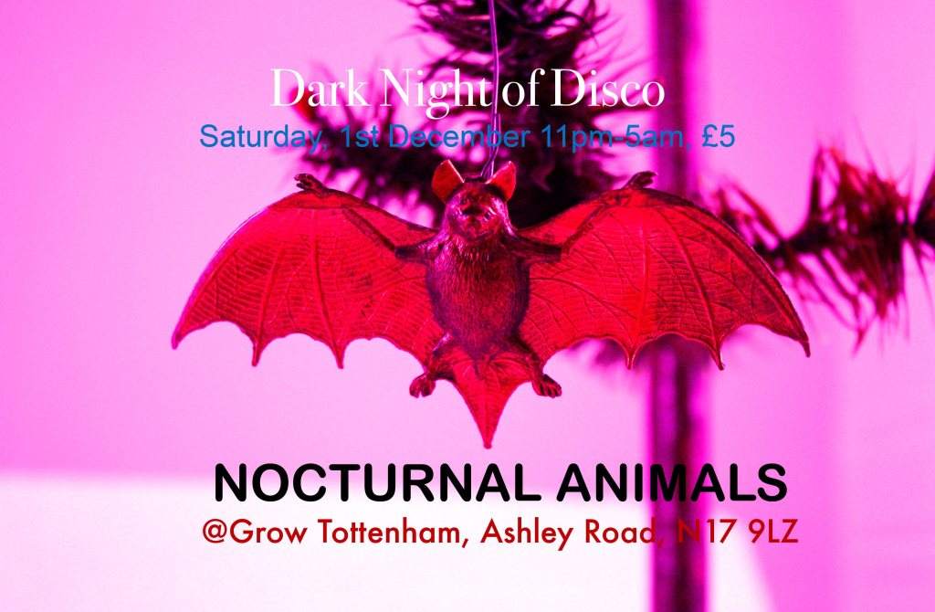 Nocturnal Animals - フライヤー表