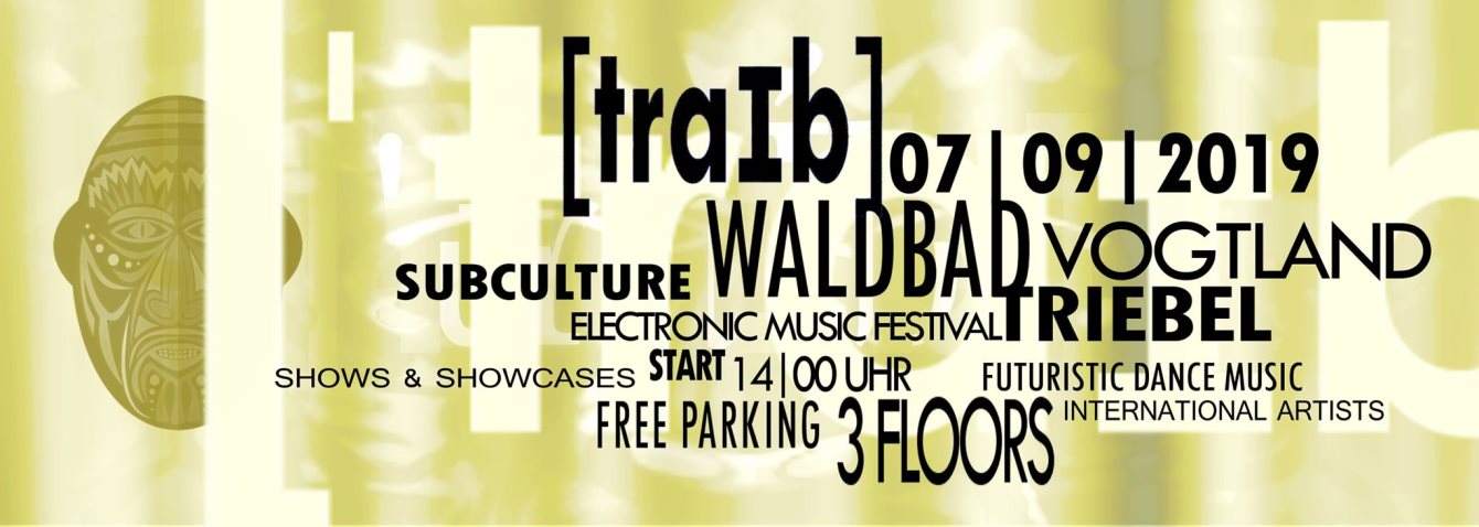 ˈtraɪb| Electronic Music Festival - フライヤー表