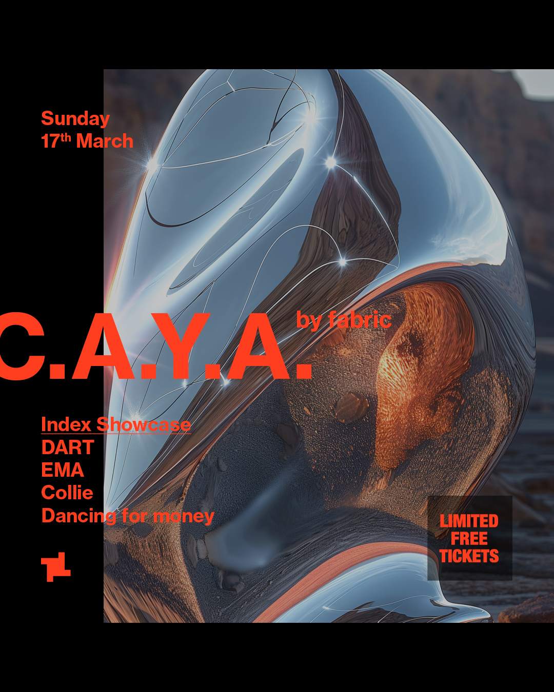 C.A.Y.A. by fabric: Index Showcase - DART, EMA, Collie, Dancing For Money - Página frontal