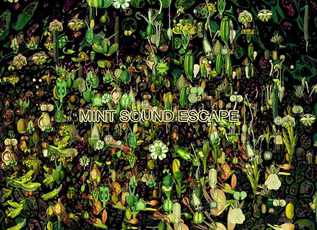 Mint Sound Escape Vol.XVI| - フライヤー表