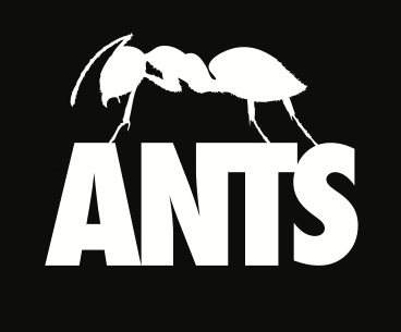 ANTS - Frente do panfleto