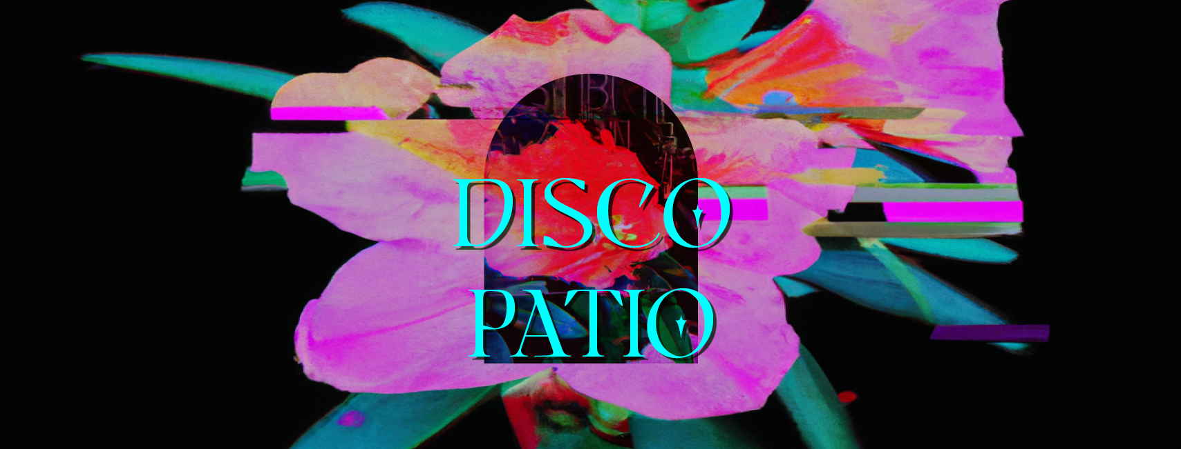 DISCO PATIO V [CANCELED] - フライヤー裏