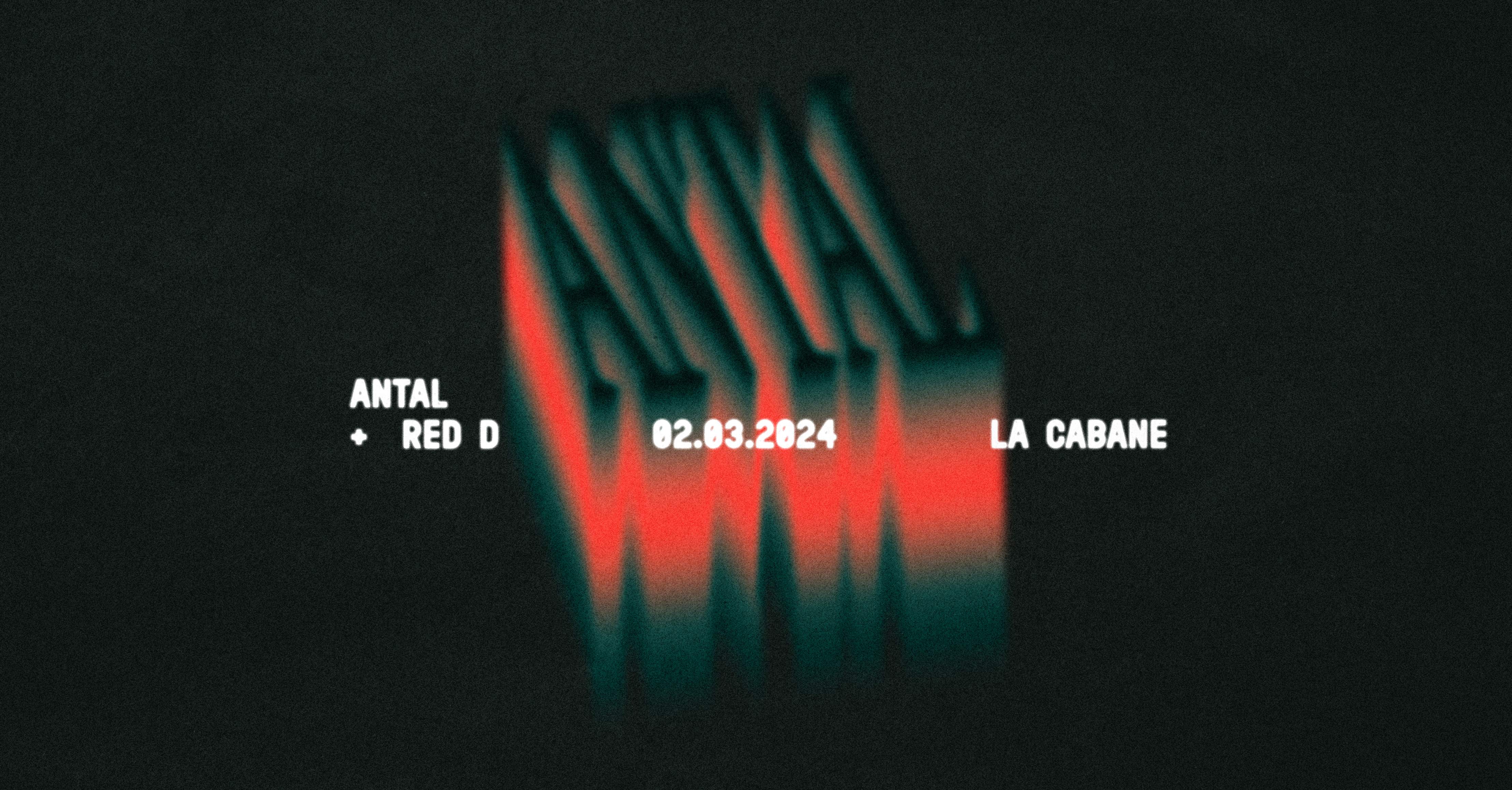 La Cabane - Antal + Red D - フライヤー表