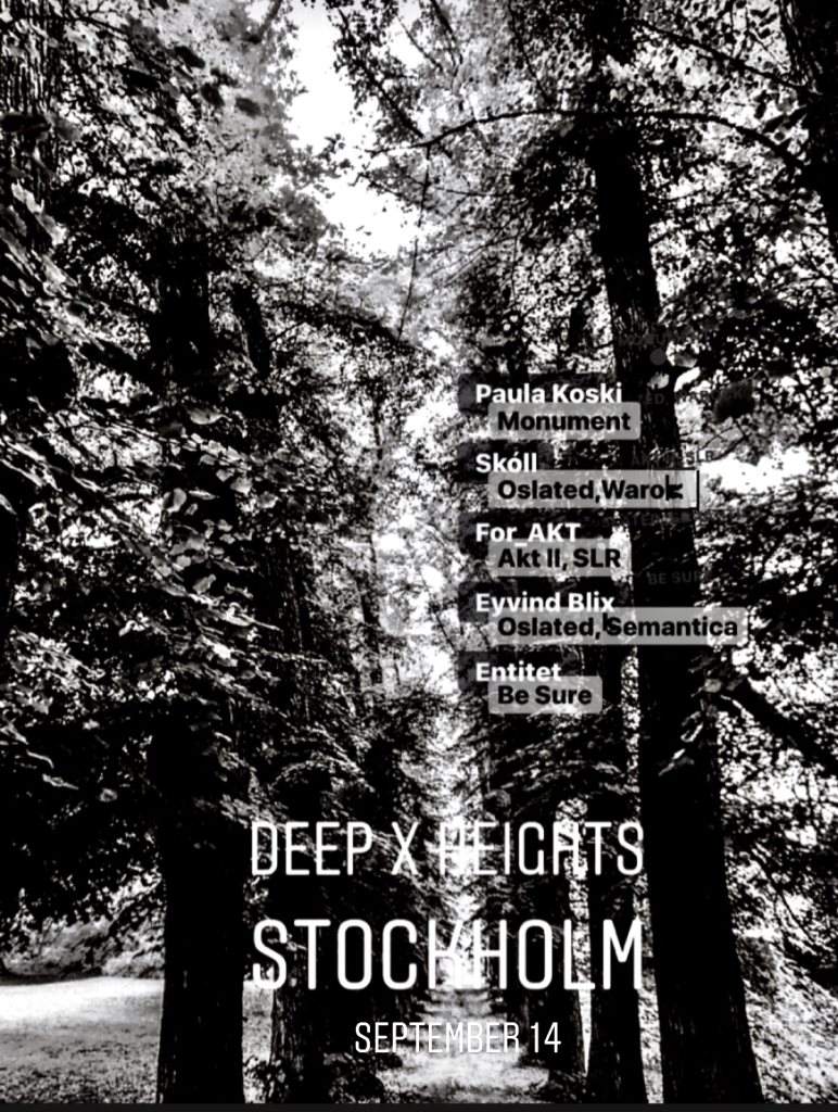 Deep x Heights Stockholm - フライヤー表