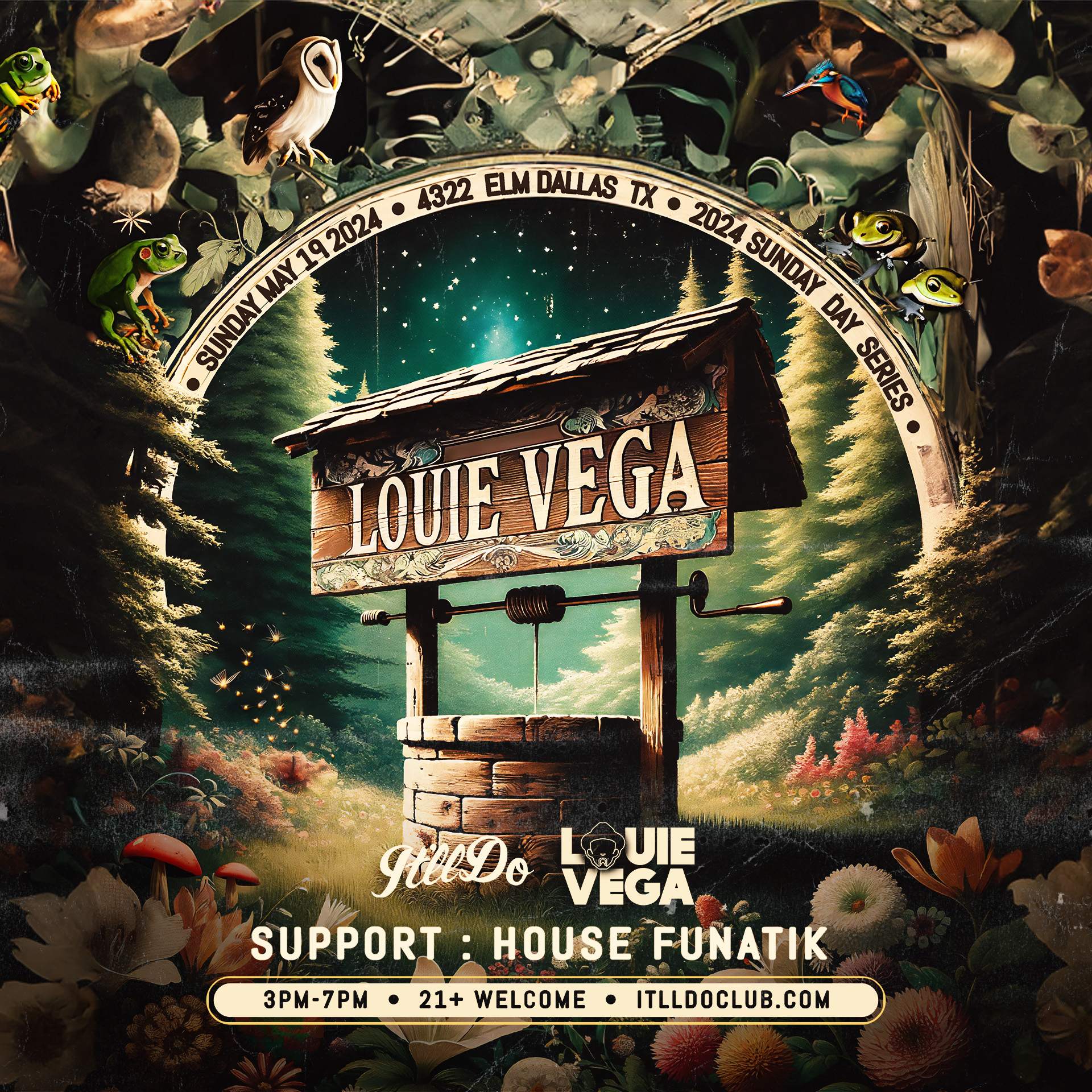 Louie Vega - day party - フライヤー表