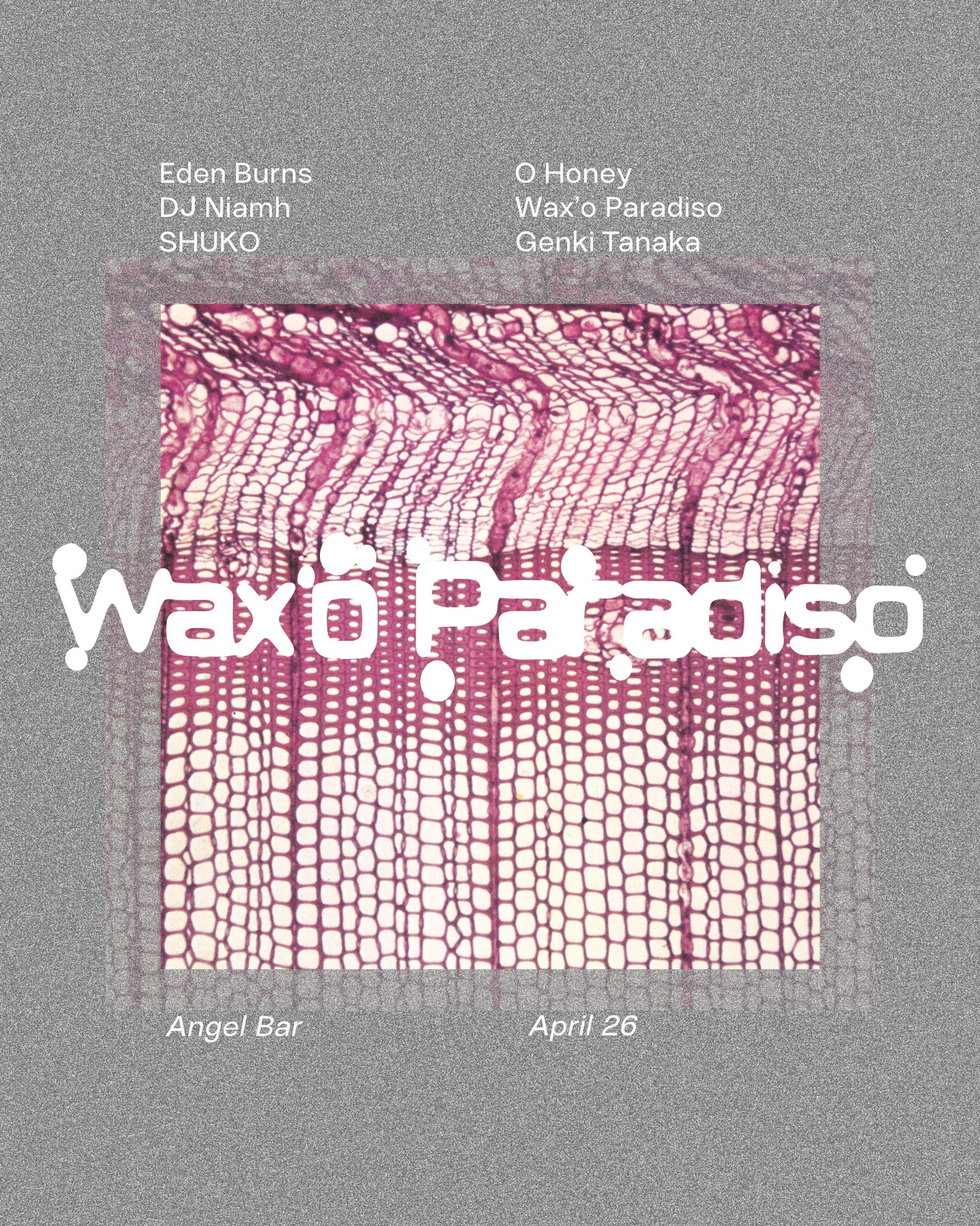 Wax'o Paradiso - フライヤー表