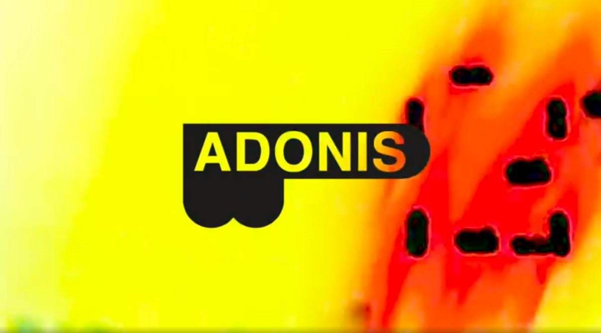 Adonis - Bank Holiday All Day, All Night - フライヤー表