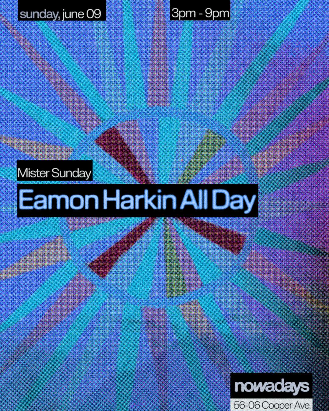 Mister Sunday: Eamon Harkin All Day Long - フライヤー表