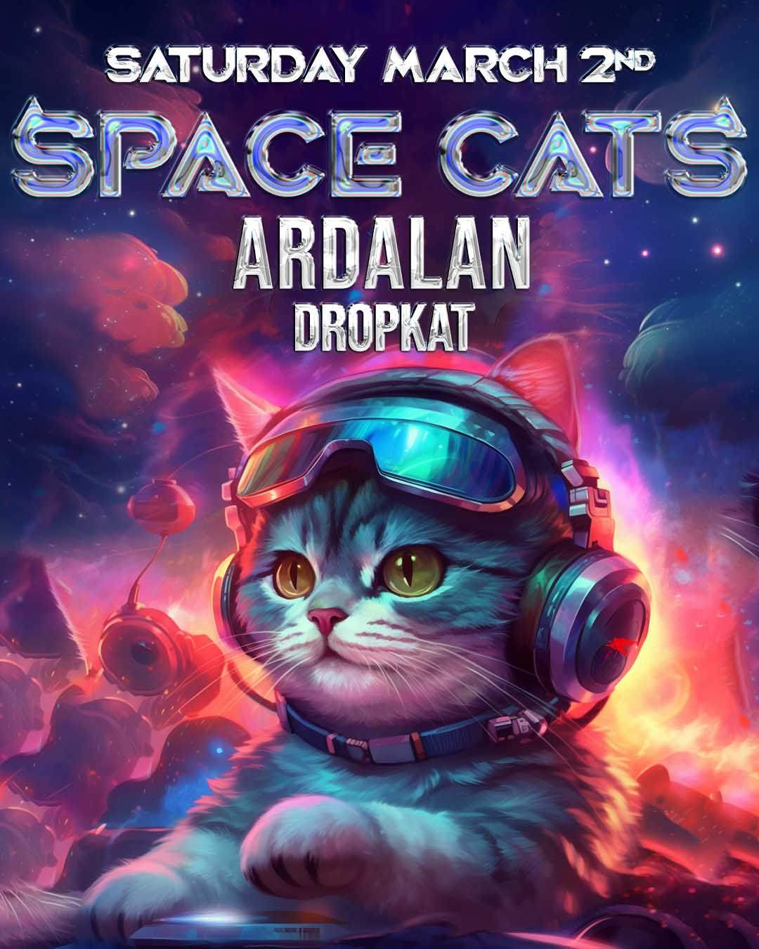 Ardalan · Dropkat - フライヤー表