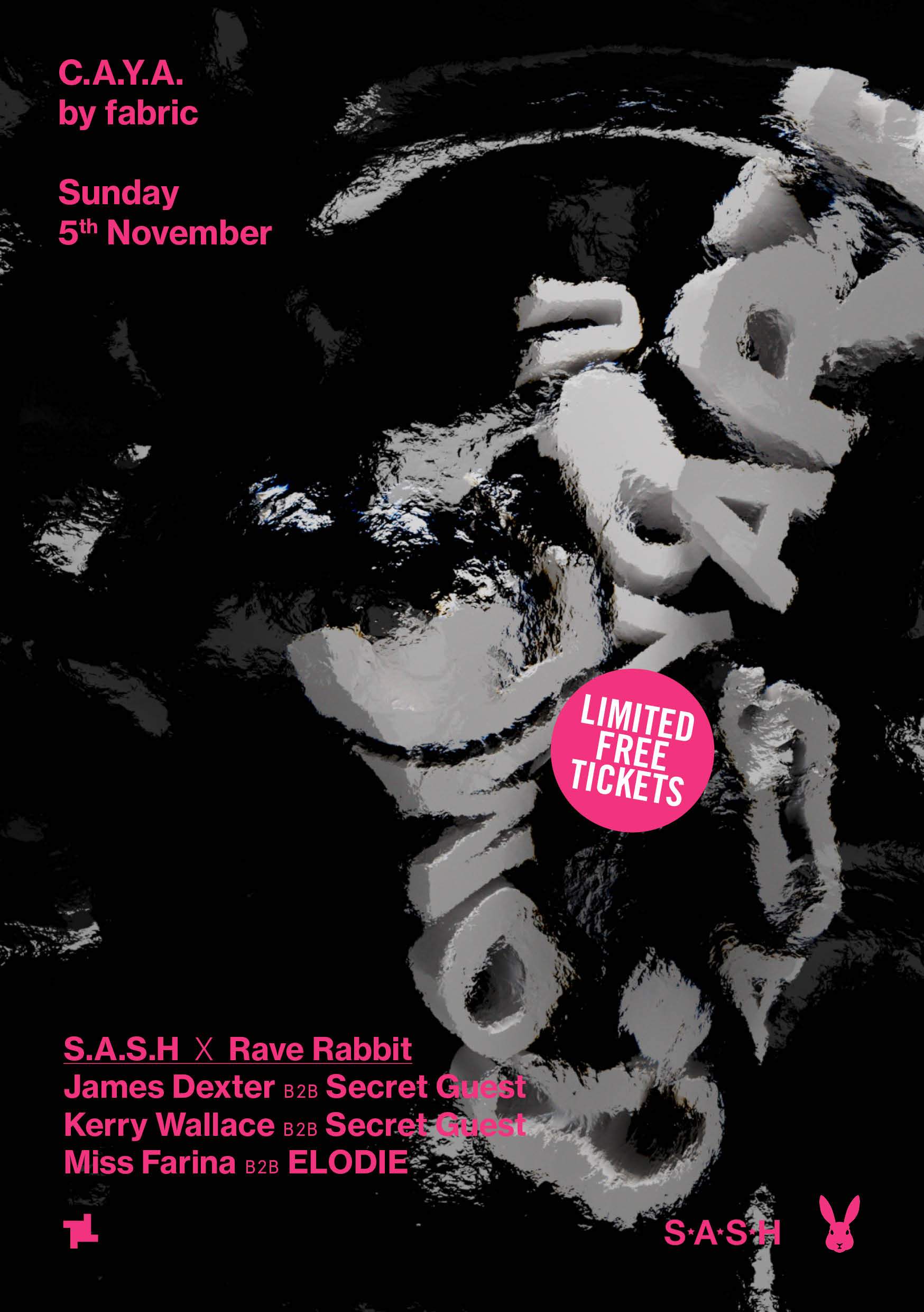 CAYA by fabric: S.A.S.H x Rave Rabbit  Michael James, James Dexter, Kerry Wallace + more - フライヤー表
