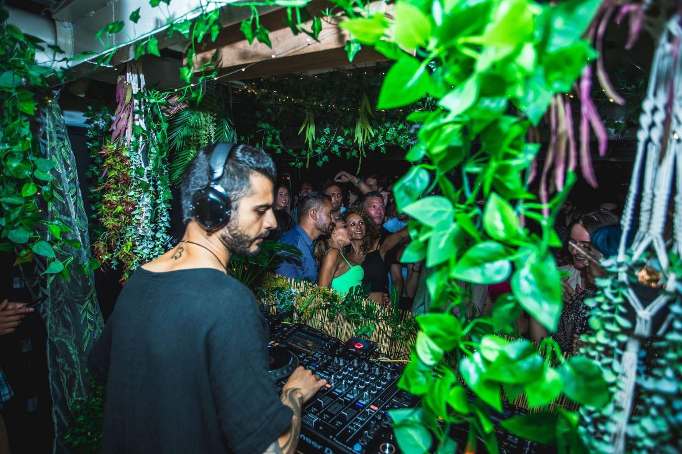 Deep Root Tribe x Palosanto Jungle Day Party - フライヤー裏