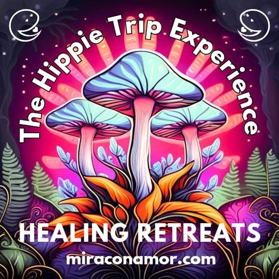 [SOLD OUT] The Hippie Trip Experience - Página frontal