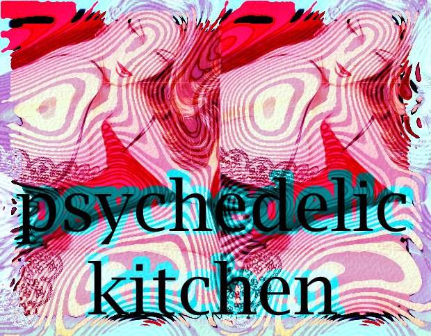 Psychedelic Kitchen Festival Feat. Mijk Van Dijk / Ed2000 / Paul Heimweh / . - フライヤー表