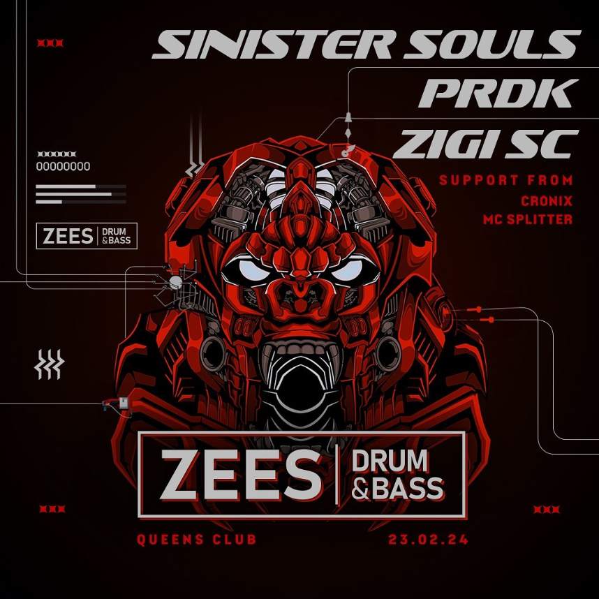 Zees DnB pres. Sinister Souls - PRDK - Zigi SC - Página frontal