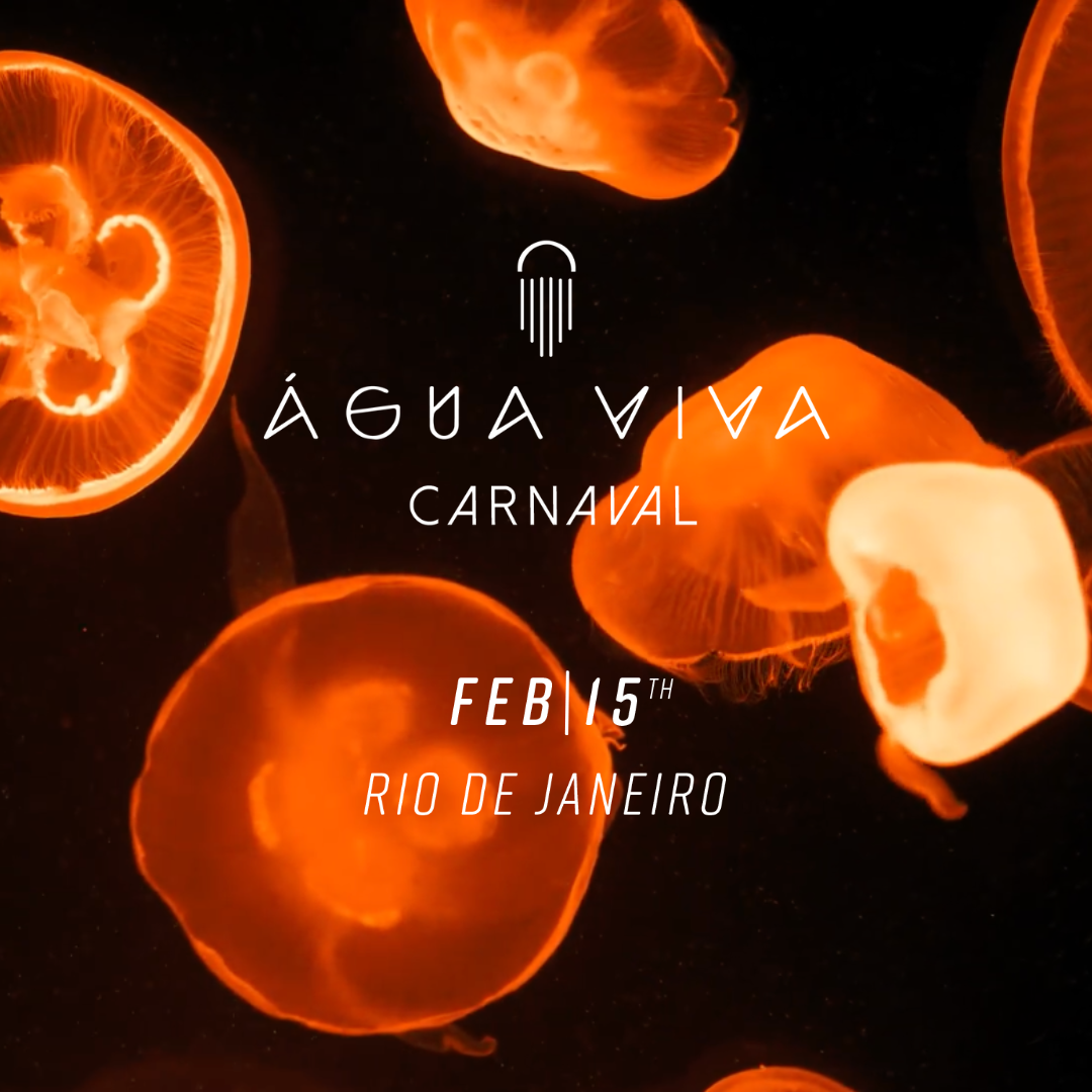 Agua Viva Carnaval 2024 - フライヤー表