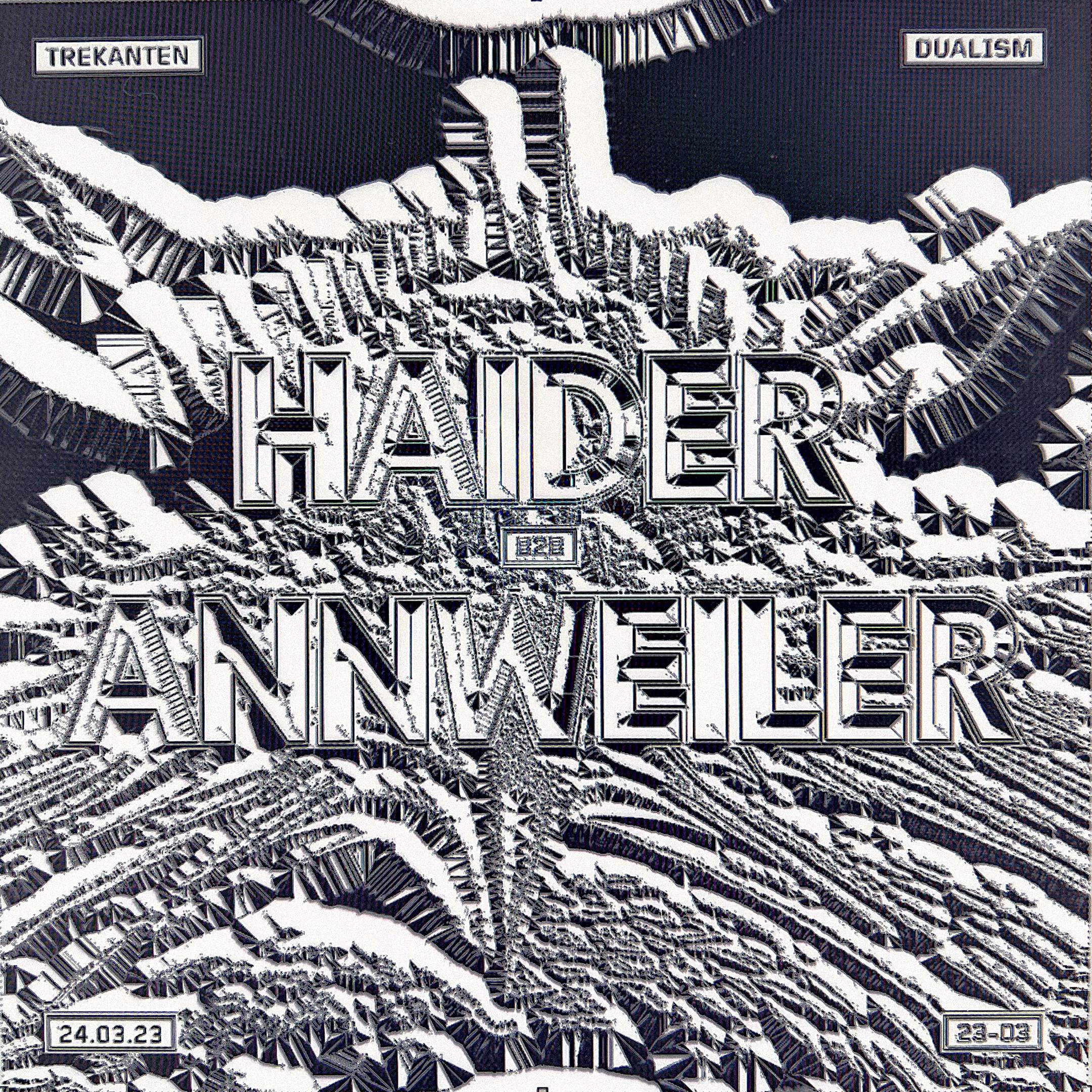 DUALISM: Haider B2B Annweiler - Página frontal