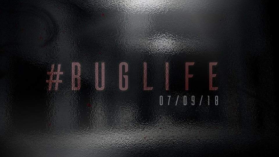 Buglife - フライヤー表