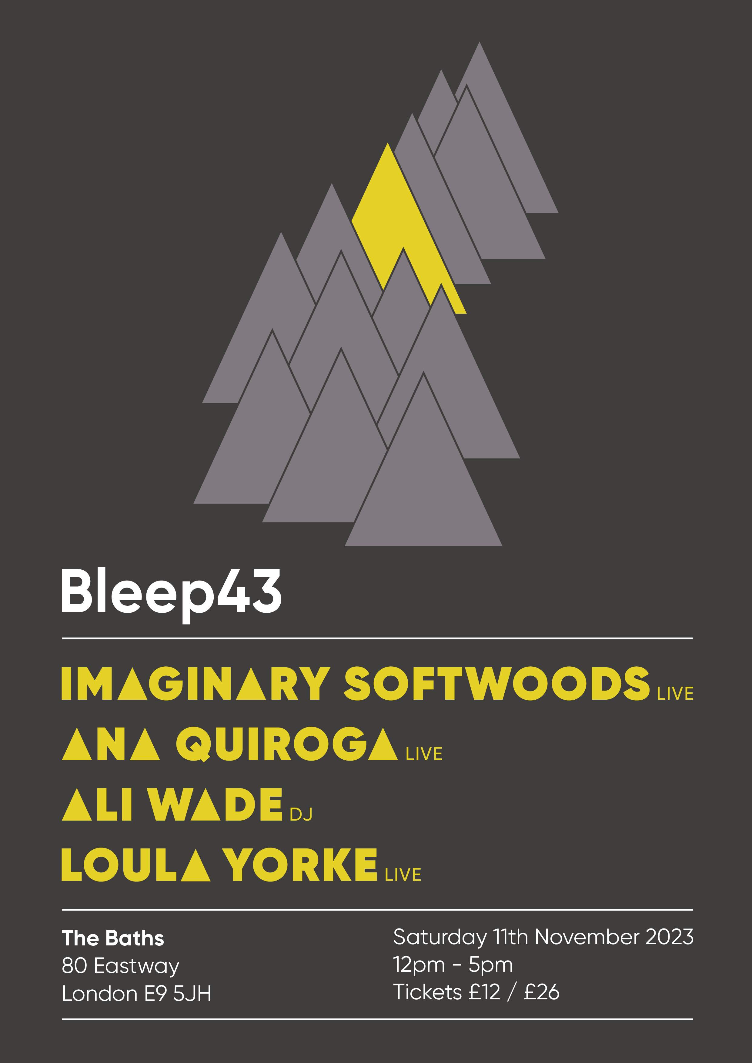 Bleep43 with Imaginary Softwoods, Ana Quiroga, Ali Wade and Loula Yorke - フライヤー表
