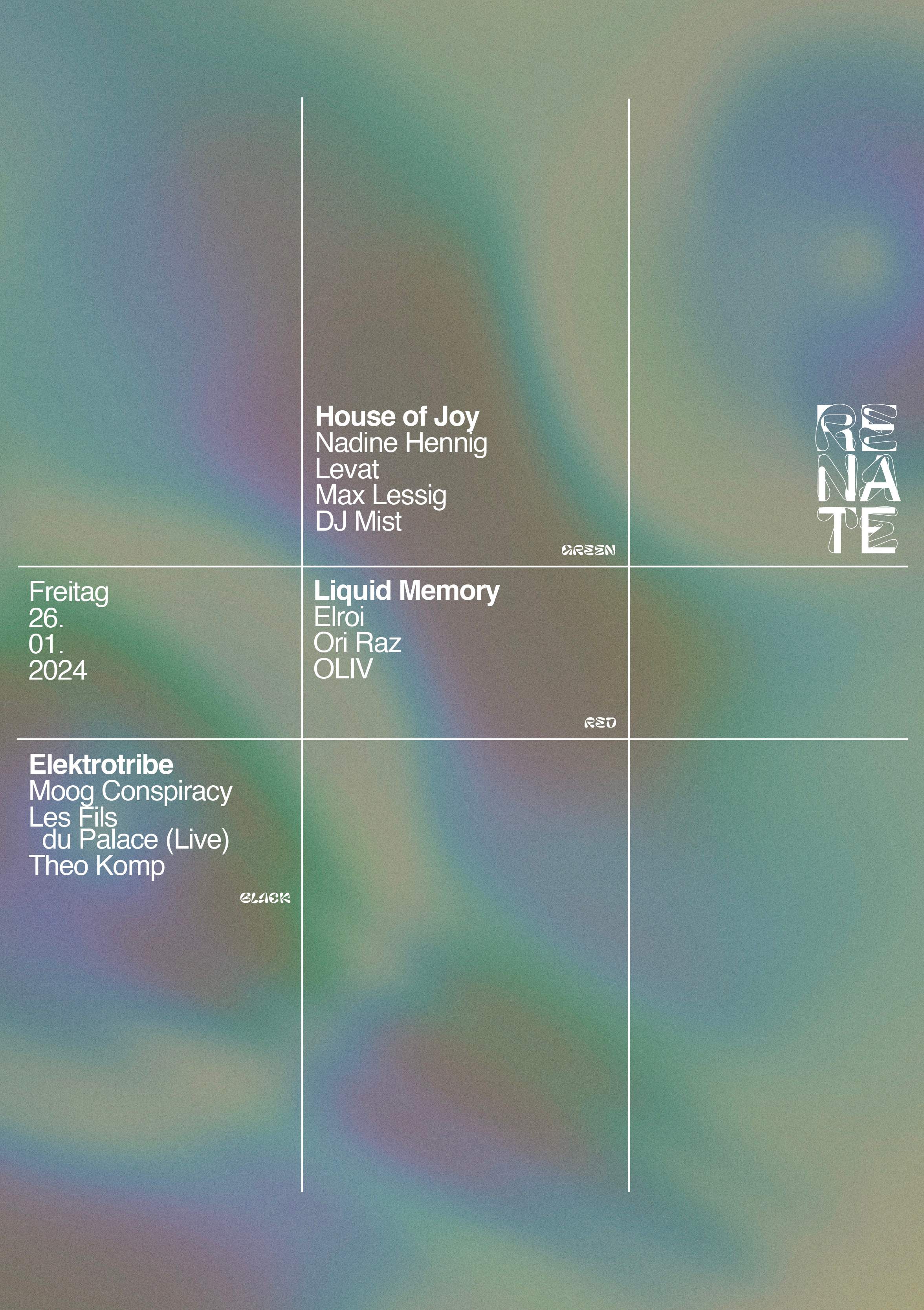 Renate Klubnacht with Nadine, Levat, Theo Komp, Max Lessig, Moog ...