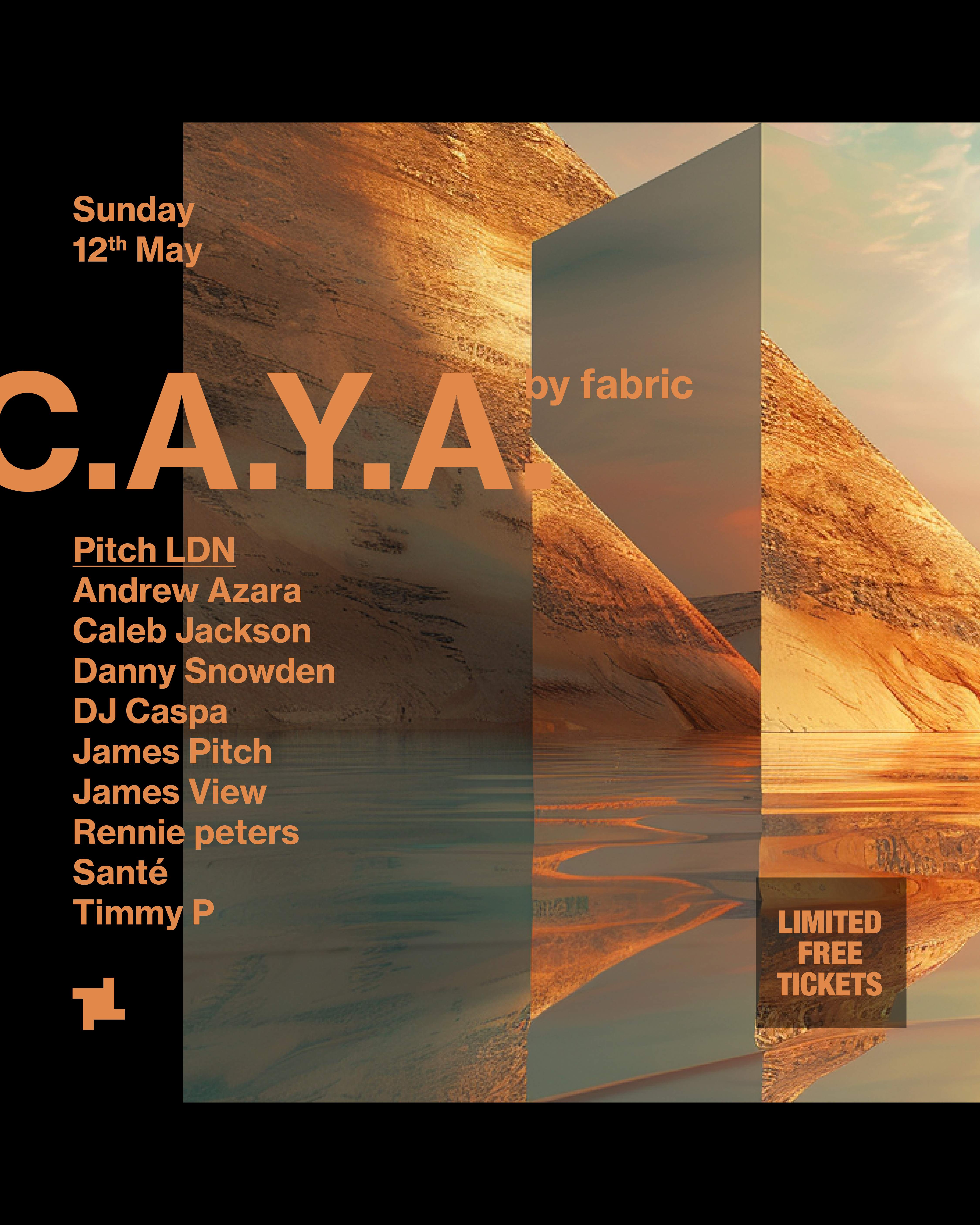 CAYA by fabric: Pitch LDN - Andrew Azara, Caleb Jackson, DJ Caspa, Danny Snowden - フライヤー表