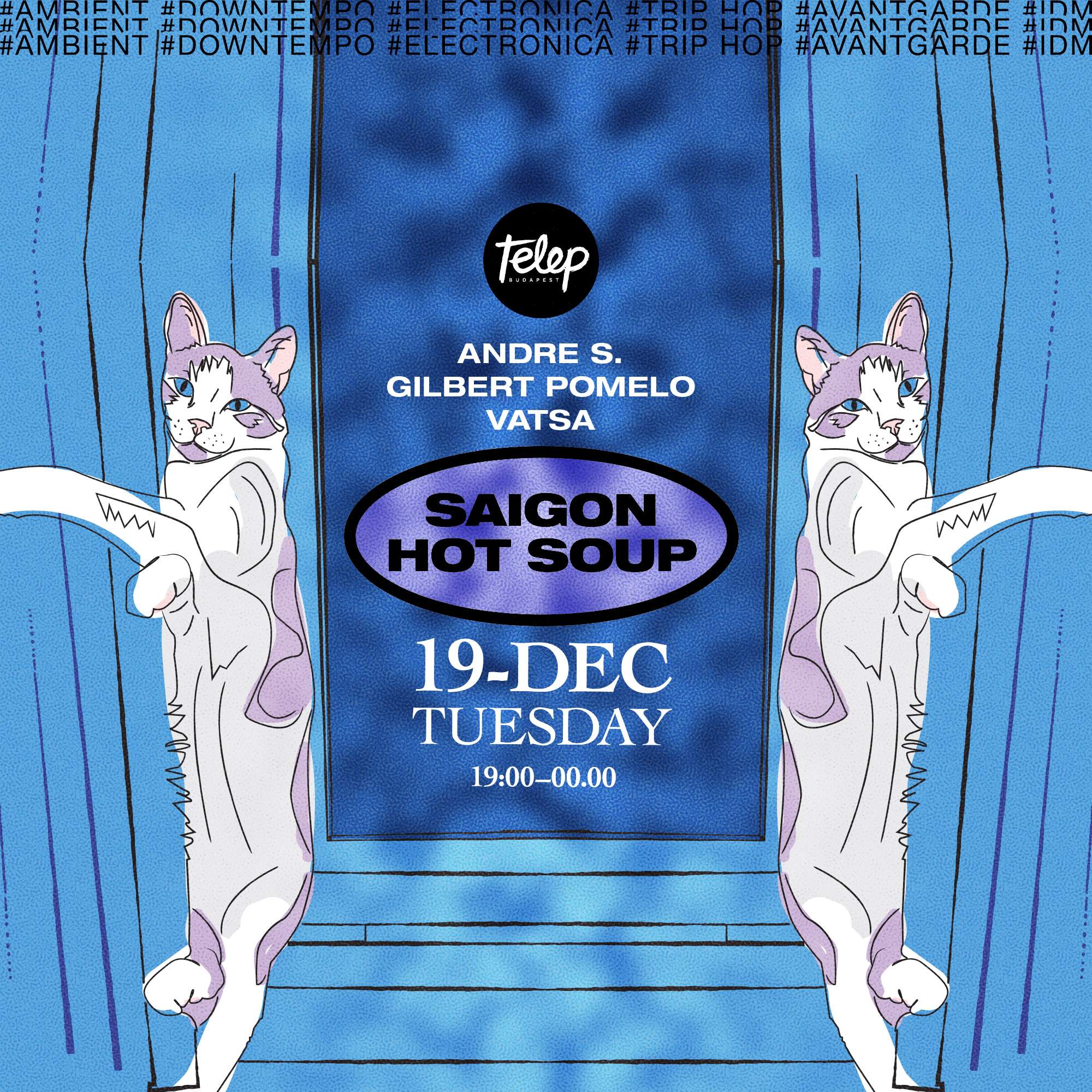 Saigon Hot Soup with Andre S at Telep Budapest, Budapest